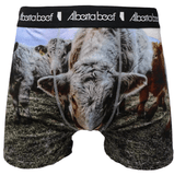 Alberta Underwear and Shorts Apparel & Accessories 2X Cow Posse