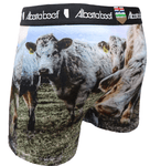 Alberta Underwear and Shorts Underwear Small Cow Posse