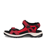 Ecco Hiking & Athletic Sandals Medium / Red / 35 EU Ecco Women's Offroad Sandals- Chili/ Brick Red